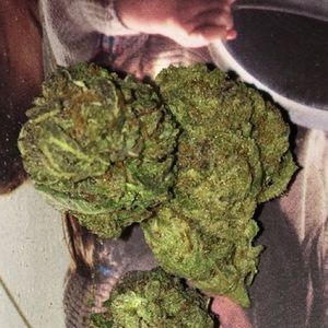 Meet your Posher, Luis